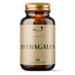 Astragalus 60 caps