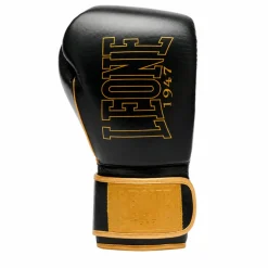 Guanti Boxe DNA Premium nero
