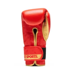 Guanti Boxe DNA Rosso