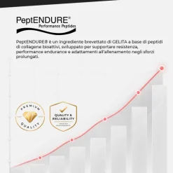 Pepto Collagen Pure 500 g